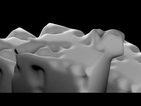 Vertex Map Properagtion Test