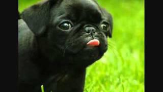 Psycostick DIE... A LOT