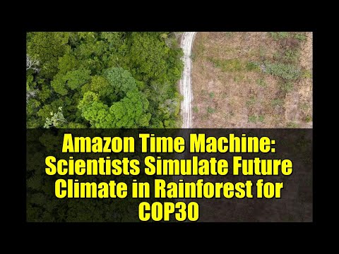 Amazon Time Machine: Scientists Simulate Future Climate in Rainforest for COP30