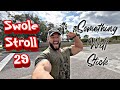 Something Will Stick - SWOLE STROLL 29