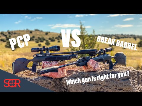 GAMO Urban VS Magnum - PCP VS Break Barrel what airgun to get?  hint hint get BOTH!