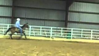 preview picture of video 'Briarwood Saddle Club Speed Racking, 4/15/11'