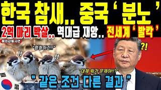 Download lagu China Suffers Tens of Millions of Casualties, Korea 0... A Sparrow Changes Fate | International R... mp3