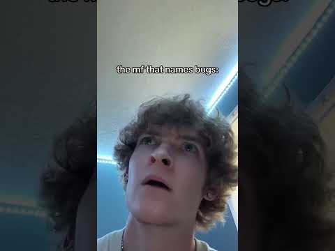 Bugs With Names Meme