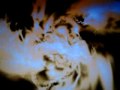 ENIGMA THE PRINCIPLES OF LUST SADNESS ...