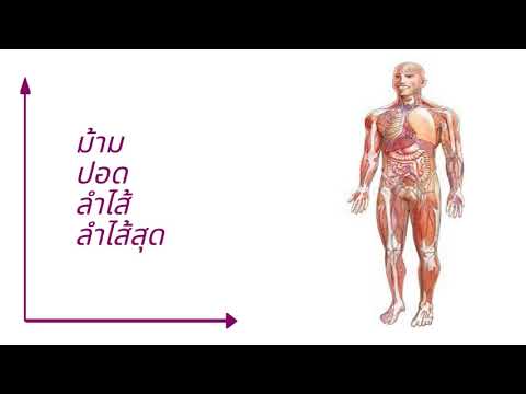ອະສຸພະສັນຍາ