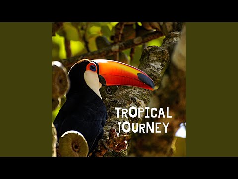 Tropical Journey