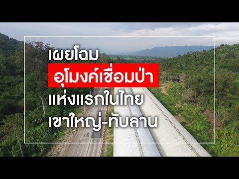คลิกเพื่อดูคลิปวิดีโอ