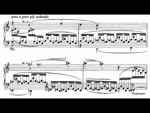 Ferruccio Busoni: Sonatina No. 2 (Slotchiver)