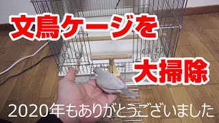 HOEIの文鳥ケージを大掃除！今年も皆様ありがとうございました