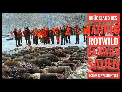 Our driven hunt of the year with the Hunterbrothers | Wild boar, red deer & fallow deer | Schwarz...