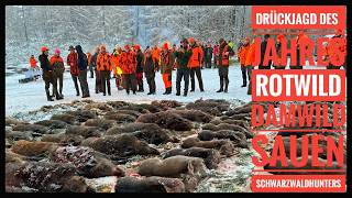 Unsere Drückjagd des Jahres bei den Hunterbrothers | Sauen Rotwild &amp; Damwild | Schwarzwaldhunters