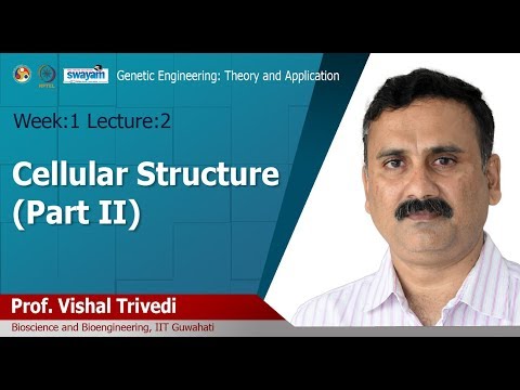 Genetic Engineering Theory and Application Intro Video