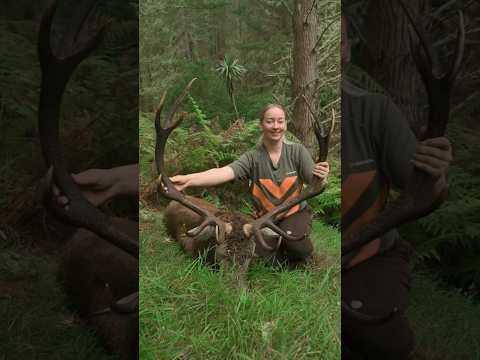 Proud as punch with my amazing big red stag from this year in the roar! 🫎 #hunting #hunter #nz