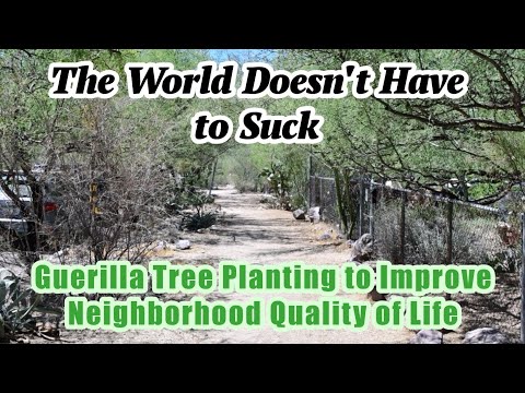 Transforming Streets: Brad Lancaster's Green Infrastructure Insights