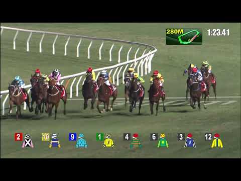 20/1/2021 (361) Wealthy Delight - J Moreira