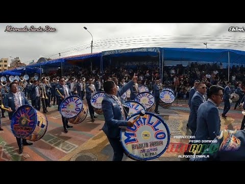 BANDA PROYECCION MURILLO DE ALFONSO ZAVALA - FEST. VIRGEN DE LA CANDELARIA 2025 |MORENADA SANTA ROSA