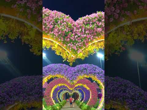 #music #bollywood #love #song #landscapephotography #burjkhalifasong #dubaiworlk #flowers #shorts