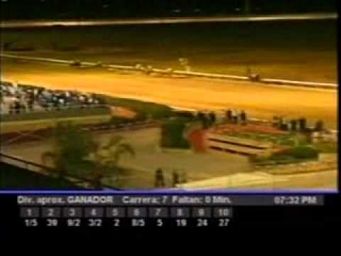 Viernes, 25 de Marzo de 2011 - Valencia