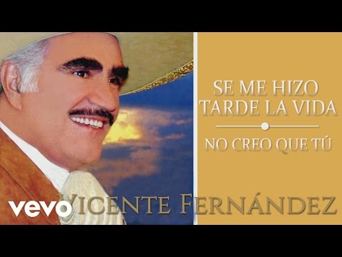 Vicente Fernández - No Creo Que Tú (Cover Audio)