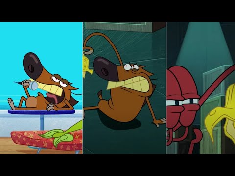#Shorts 🔶 Zig & Sharko - BANANA 🍌