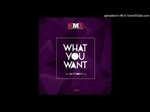 MIC X Rozzy_What you want(Official Audio)