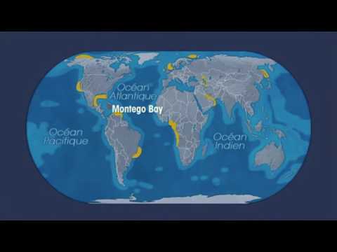 zone économique exclusive