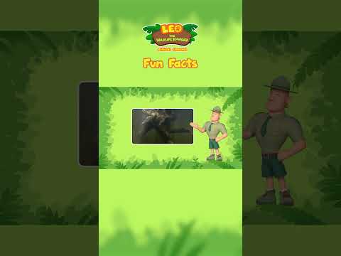 Three-toed Sloth 🦥 | Fun Facts | Leo the Wildlife Ranger #animals #education #kids