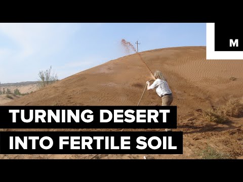 Spraying This Material on Desert Sand will Turn it into Green, Fertile Land