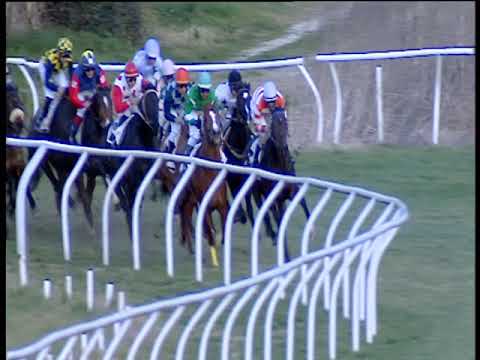 Galoppo 12/02/2019 - 1ª corsa