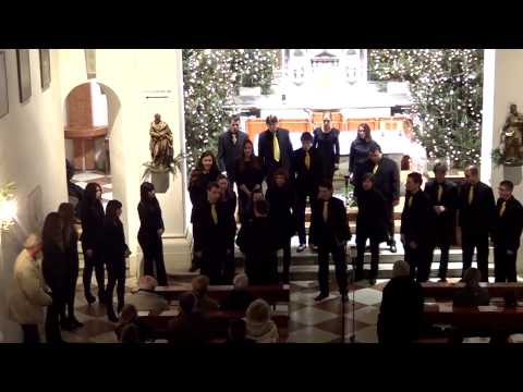 Vox Animae (with help of the audience) - U se vrime godišta (trad. Croatian)