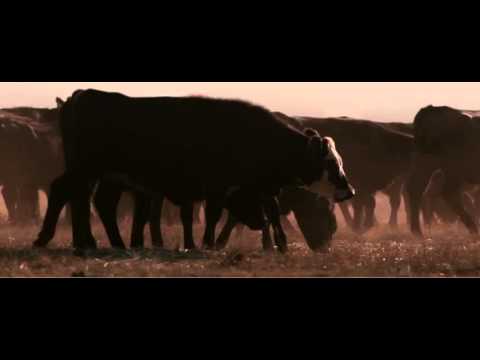 Whole Foods vs Monsanto Commercial Mashup