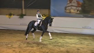 Video of Birkhof's Fair Game OLD