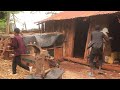 UKIISHI NYUMBA IMESHIKA NA NA YA MZAZI ALAFU UKETE DEM GukawanyumbaTen