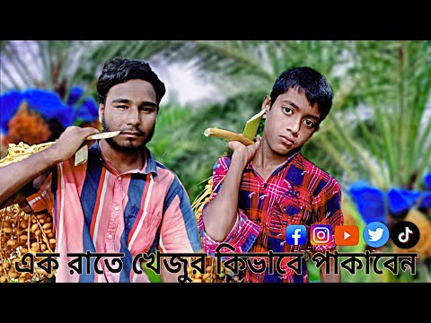 এক রাতে খেজুর কিভাবে পাকাবেন  Vlog-8 Nirob Adhikari Vlog Entertainmentmedia