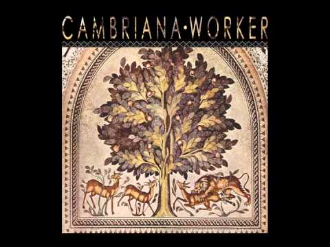 Cambriana - It Never Works