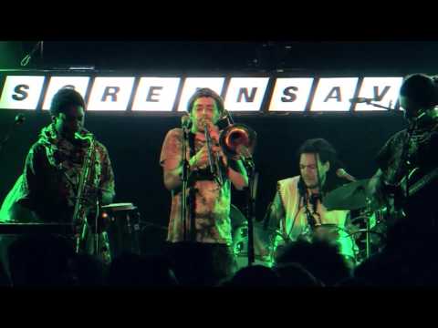 UNITED VIBRATIONS Live on SCREENSAVER