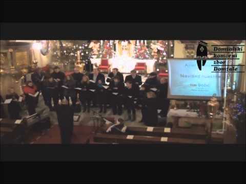 Ta dan je vsega veselja - DKZ 16.1.2011