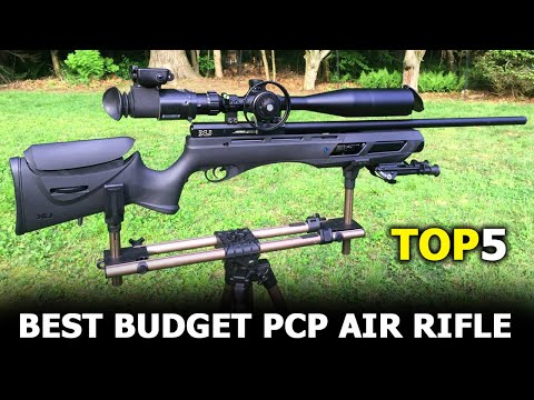 Top 5 Best Budget PCP Air Rifle - Best & Cheapest Air Rifles 2021