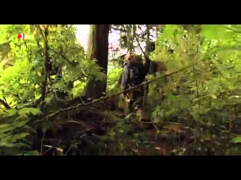 Auf der Spur der Küstenwölfe Doku über Küstenwölfe Teil 1