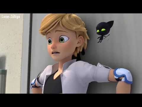 Multi-language Transformations All Ladybug Transformations Multi-language