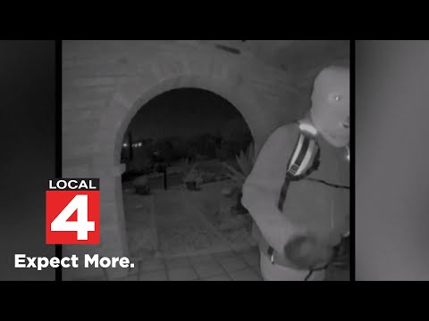 Local 4 News at 11 --  Feb. 10, 2026