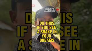 Download lagu Do this if you see a snake in your dream #prophetic #motivation #prophetictraining #inspriration mp3