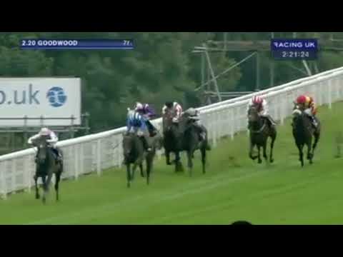 Amazing Maria wins the 2013 Prestige Stakes