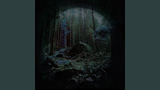 In between the Worlds