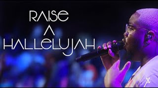 Raise A Hallelujah 