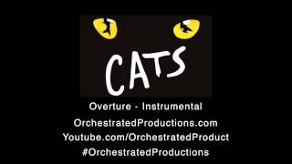 CATS   Overture