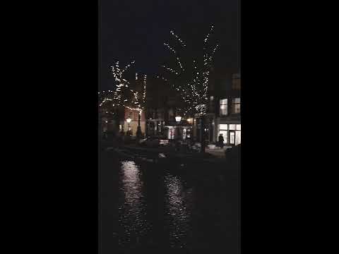 STUNNING AMSTERDAM CANAL AT NIGHT✨| Vertical Video