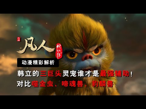 韩立的三巨头灵宠！对比噬金虫、啼魂兽、豹麟兽的成长历程和终极战力谁才是最强辅助 #凡人修仙傳 #修仙 #国漫推荐 #韩立 #国漫推荐