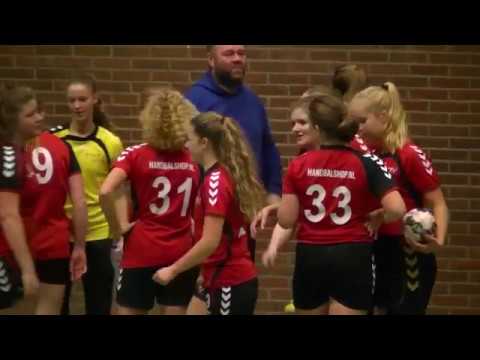 RHV_B1_HEERLE_B1_171119_samenvatting